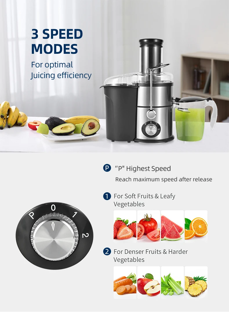 Hot Selling 1000ml Slow Juicer Multifunctional Lower Noise Big Mouth Cold Press Masticating Juicer Slow Juicer