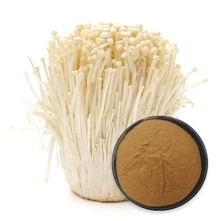Extraits de Plantes 100% Organic Enoki Mushroom Extract Powder Polysaccharide BETA GLUCAN