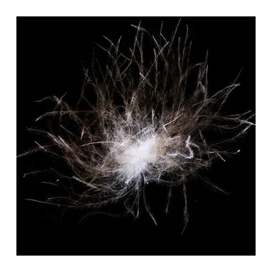 DIGNITY BRAND Fast Delivery In Stock Feather Pillow Fillings  90% Washed Grey Goose Feather Down