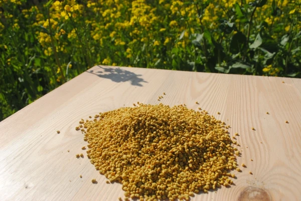 
Fresh Natural Bee Pollen bulk fresh rape bee pollen from beekeeping supplies factory natural bee pollen 