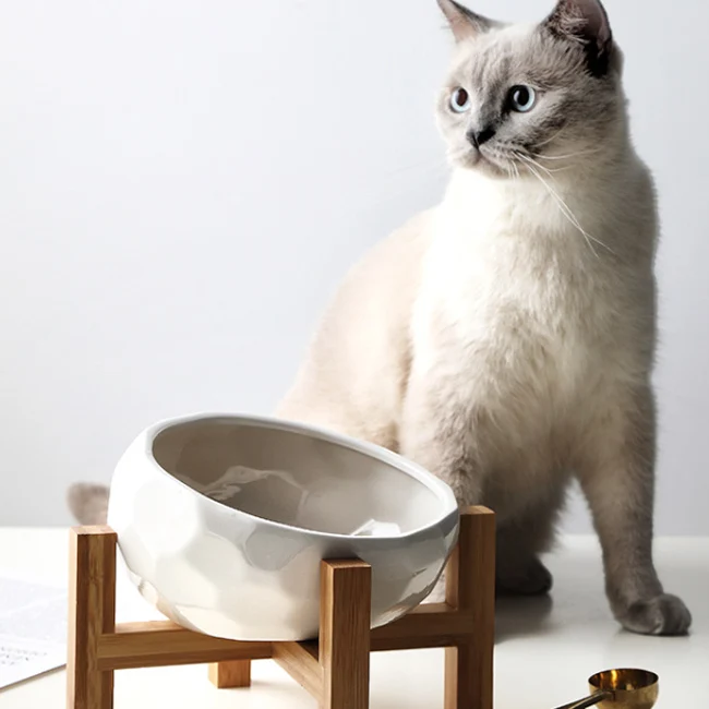 Wholesale Multi-Color Ceramic Diamond Pet Bowls Bright Glazed Easy Clean For Feeder Cats And Dogs