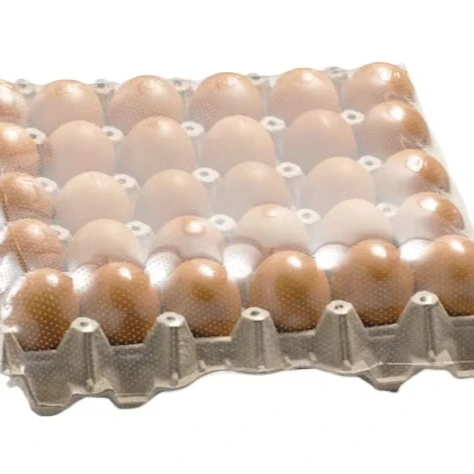 Hot Perforation Polyolefin Shrink Film Packaging for Egg Tray and Vegetables