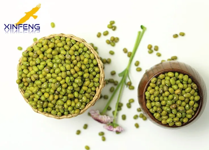 organic green mung bean