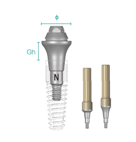 Titanium Alloy Multi-unit Abutment for Dental Implant Wego Factory OEM  Compatible with Straumann Nobel Abutment Screws