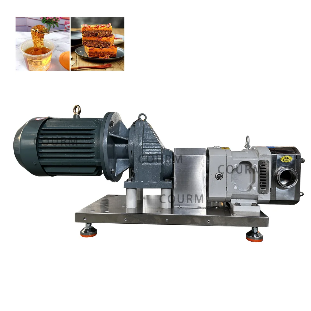 Small mini rotary lobe pump tomato paste high pressure rotary sanitary lube rotor rotary transfer pump for milk 5m3/h 200 l/h