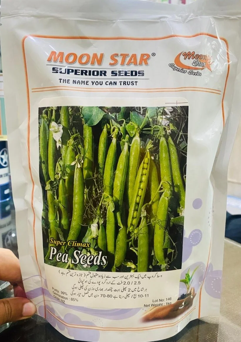 Peas SUPER CLIMAX Seeds