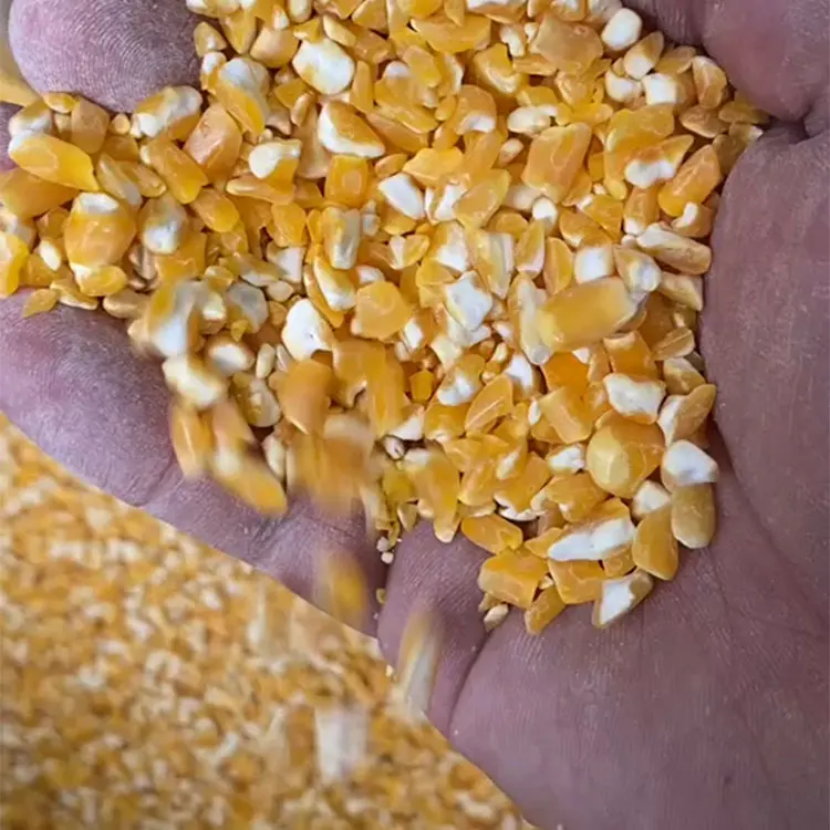 Maize corn peeling machine