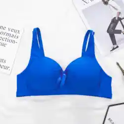 2021 Ladies Underwear Under Garments Stylish Soft Padded Plus Size Push Up Seamless Bra