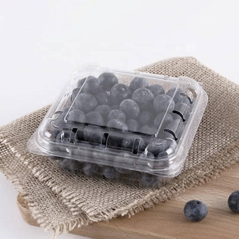 125g 250g 500g Plastic fruit packaging clear box fruit berry raspberry strawberry blueberry clamshell container with holes