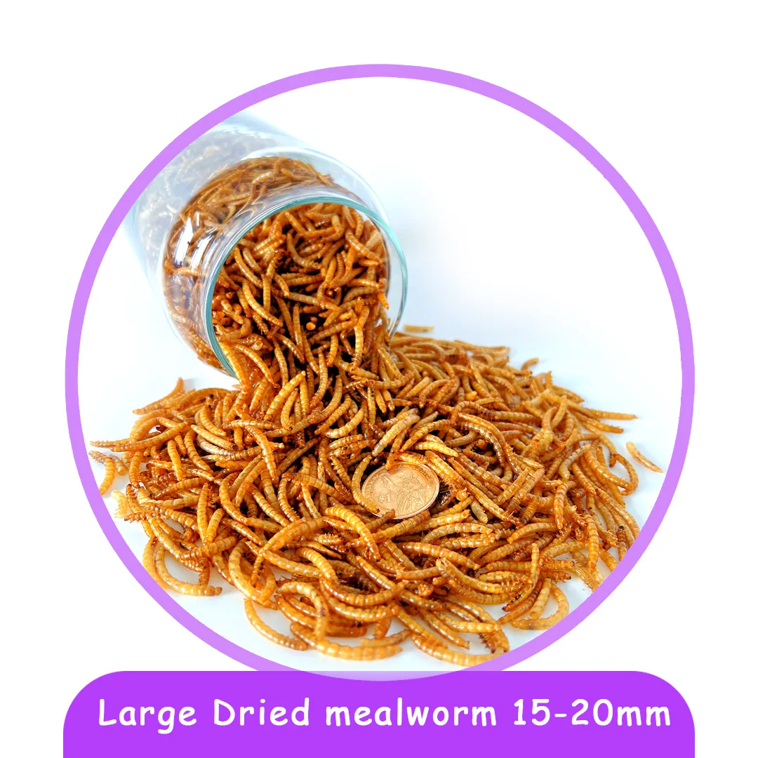 Frozen Feeder Mealworms For Pet Birds Food Amphibians Aquatic Fishing Bait Canned Or Bag Available