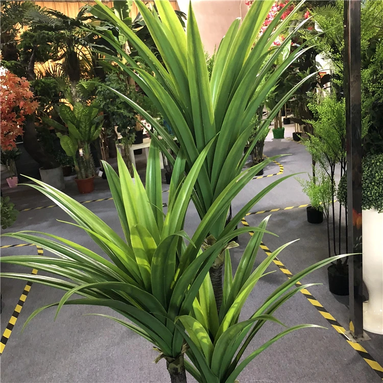 Factory wholesale artificial 3 trunks dracaena fragrans bonsai green plants for indoor decoration