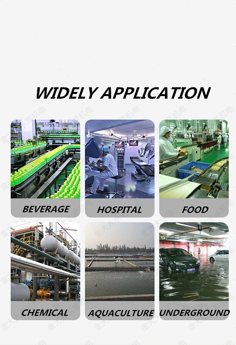 304 stainless steel pump body motor case mini portable anti acid or alkaline chemical industrial 0.2hp 1inch  submersible pump