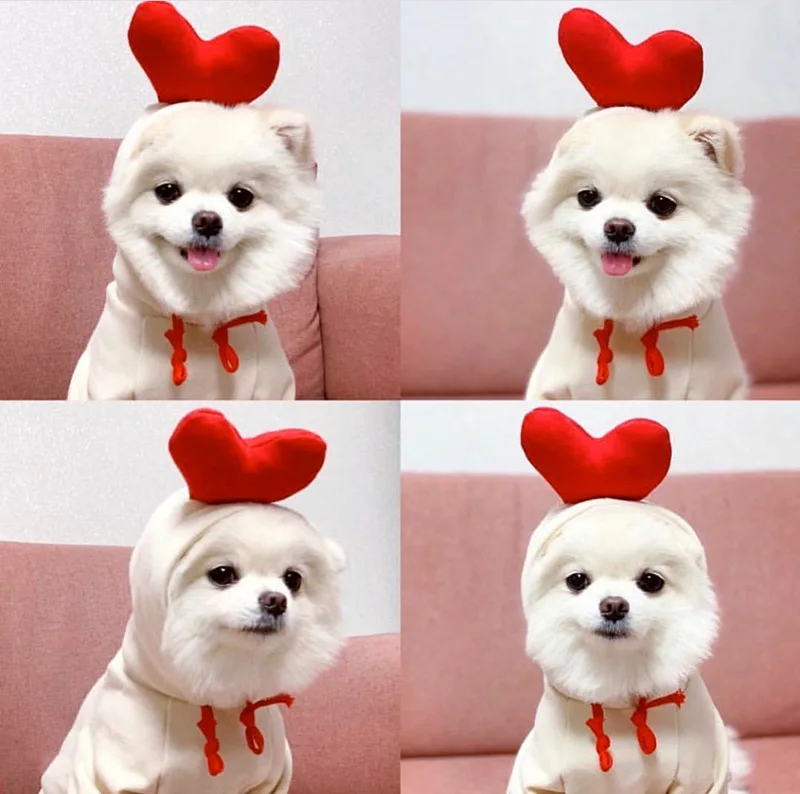 Cute Green Dog Hoodie Clothes Costume Fleece Winter Sweater for Dogs Puppy Coat Dog Warm Clothe