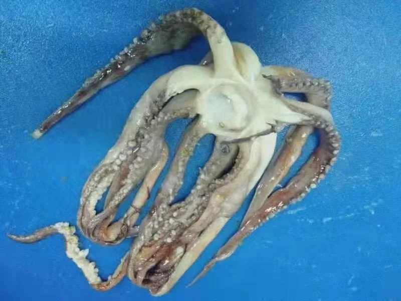 
Good Sale Frozen Squid Tentacles 