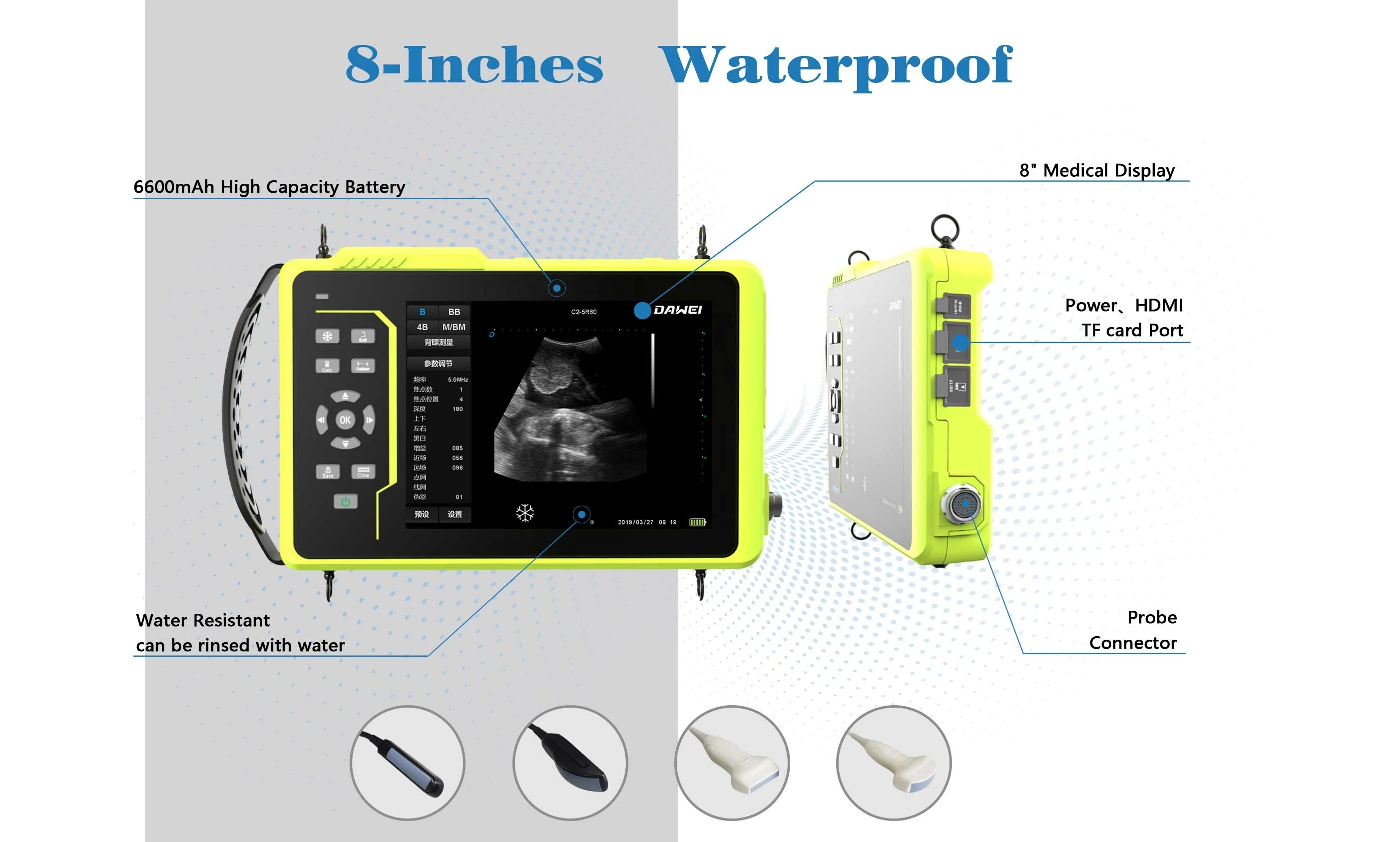 Dawei Handheld Equine Ultrasound System Price Automatic Ultrasound For Veterinary Use Sheep Cow