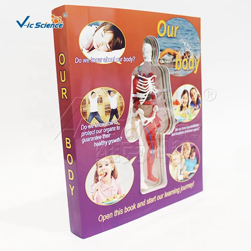 Skeleton structure chart in the human body encyclopedia human body model science set puzzle toy