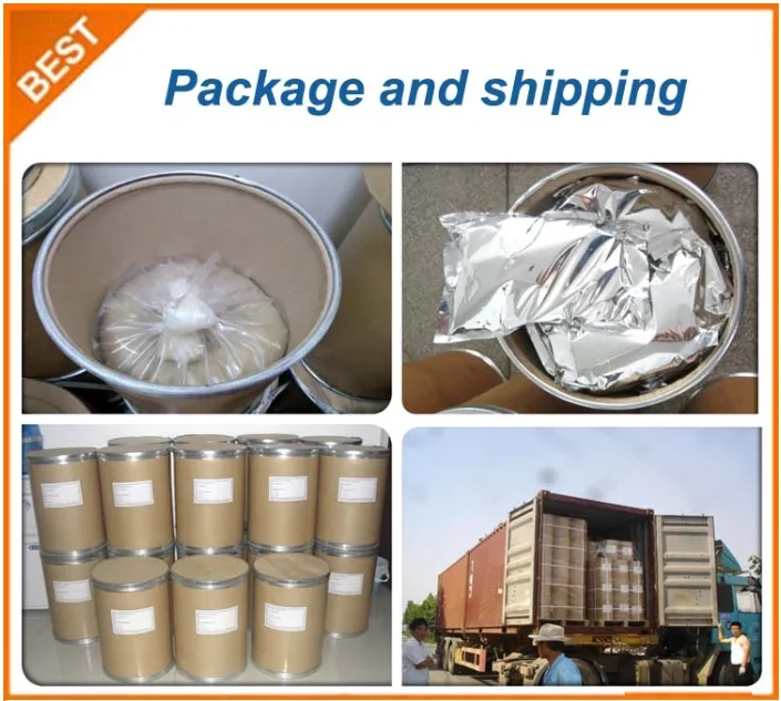 
Chinese factory supply sale dietary supplement omega 3 algae or fish oil powder brain health 