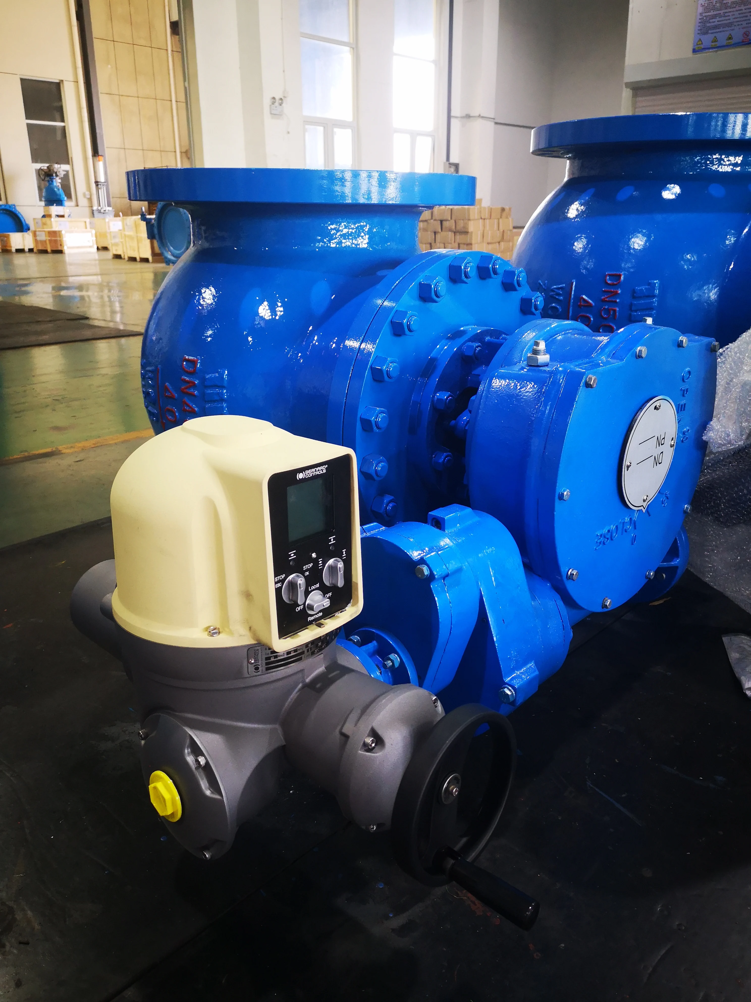 Eccentric Ball Valve body in ductile iron WCB with Pressure PN10 16