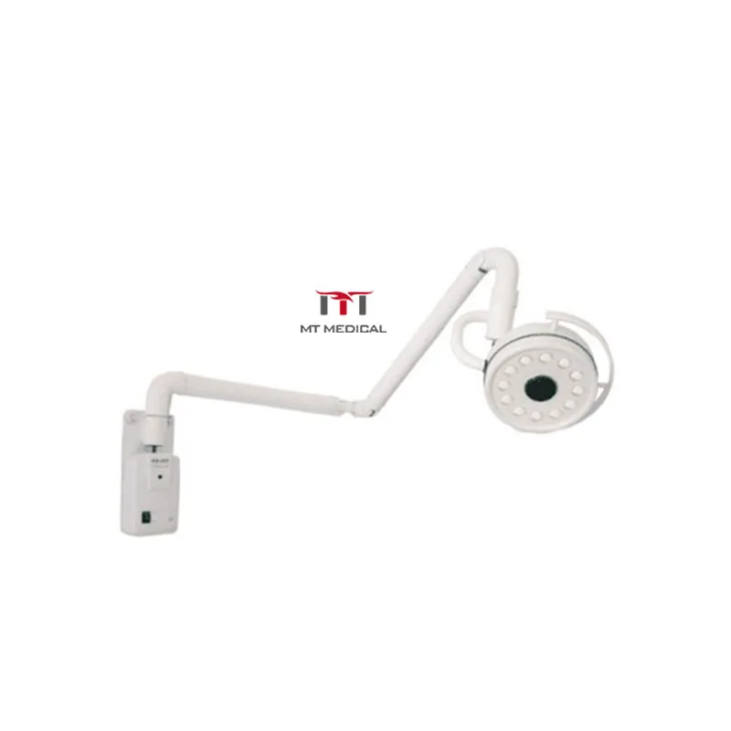 HOCHEY MEDICAL Mobile LED Dental Surgery Operation Light Hospital Exam Rooms Minor Examination Lamp with Foot Switch