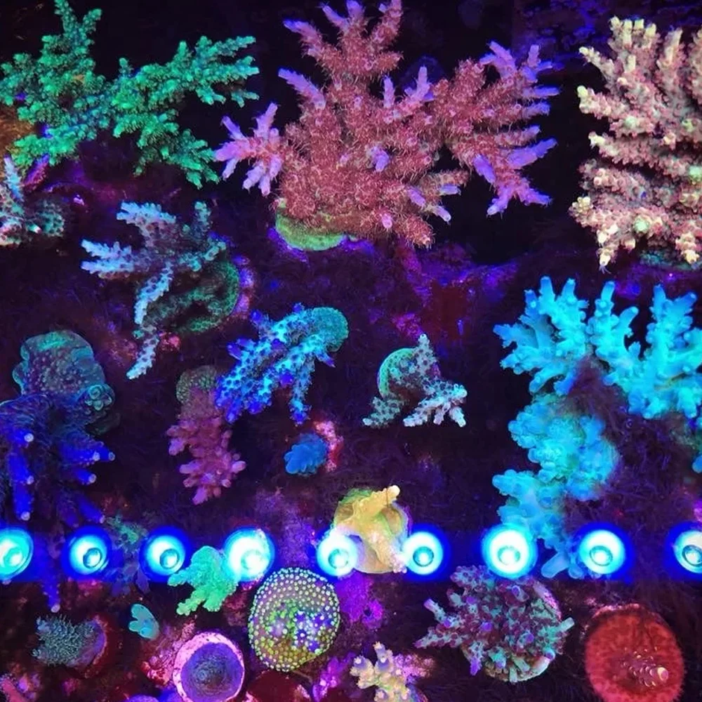 New Arrival Det Screen Light Aquarium Fish Tank Light Rack Aquarium Light Led 160 Cm Factory China