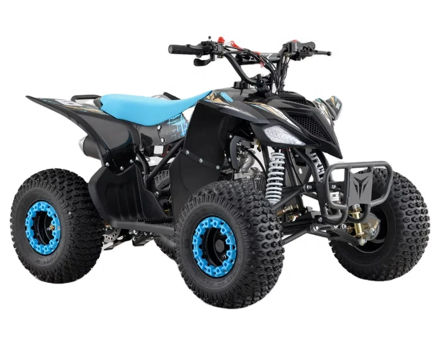 hot sale factory directly sale 1000W 1500W 60V 20Ah electric ATV