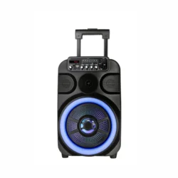 Single 12 Inch Stereo Professional Multimedia Battery Portable Trolley Speaker With Fire Light