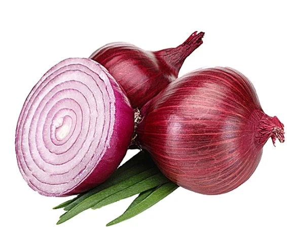 Fresh high quality 10kg/20kg Mesh Bag red peeled Onions