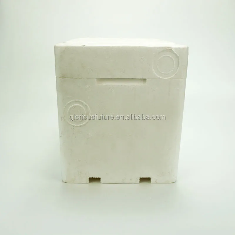 Beekeeping Plastic box for bee Honey Queen Bee Hive Nuc Box Mini bee Mating Boxes