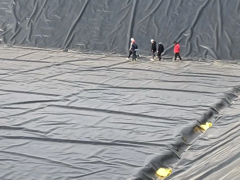 Good geomembrane price pp plastic sheet pond liner fish farm bitumen waterproofing membrane fish ponds