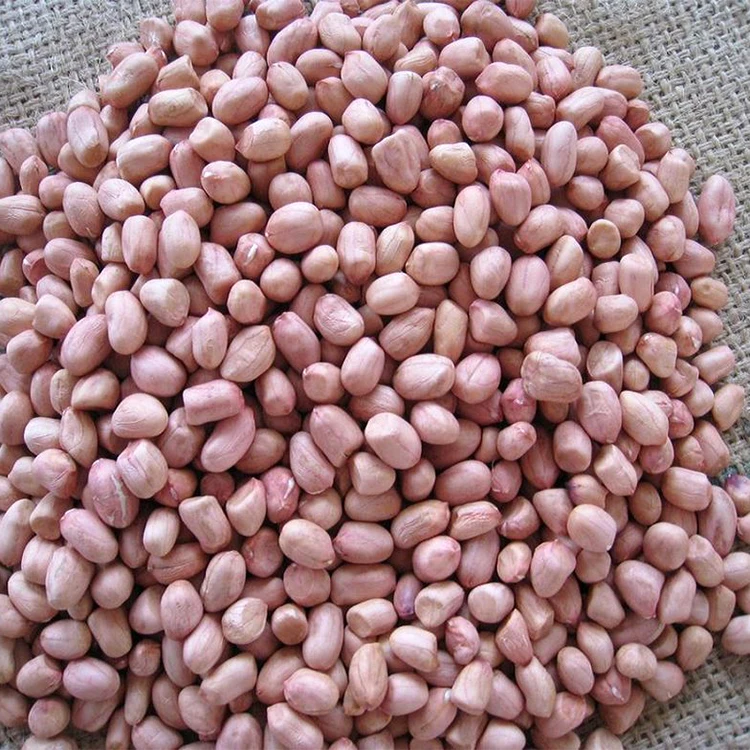 
 Китайские поставщики, жареная арахисовая ядра, распродажа  