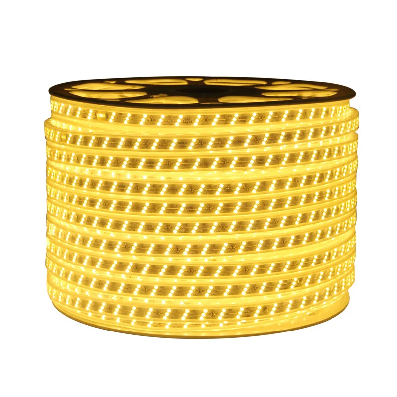 220V 5730 white warm white blue purple Flexible strip lighting led Double row 120chips/m LED strip lights/led light strip