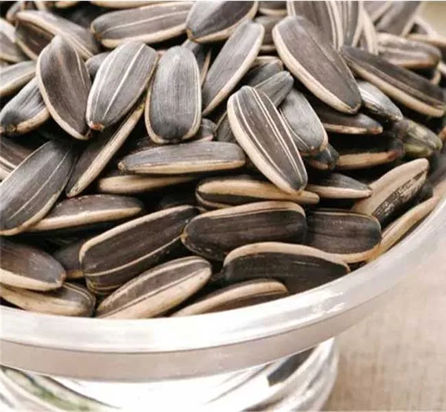 Go Raw Sunflower Seeds with Salt SEEDS Roasted and Salted