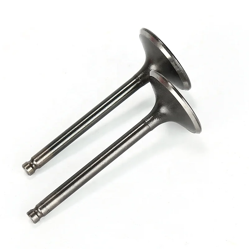 Haissky Hot Sale Motorcycle 150cc Engine Valve sets Inlet Valve/Outlet Valve for CG150