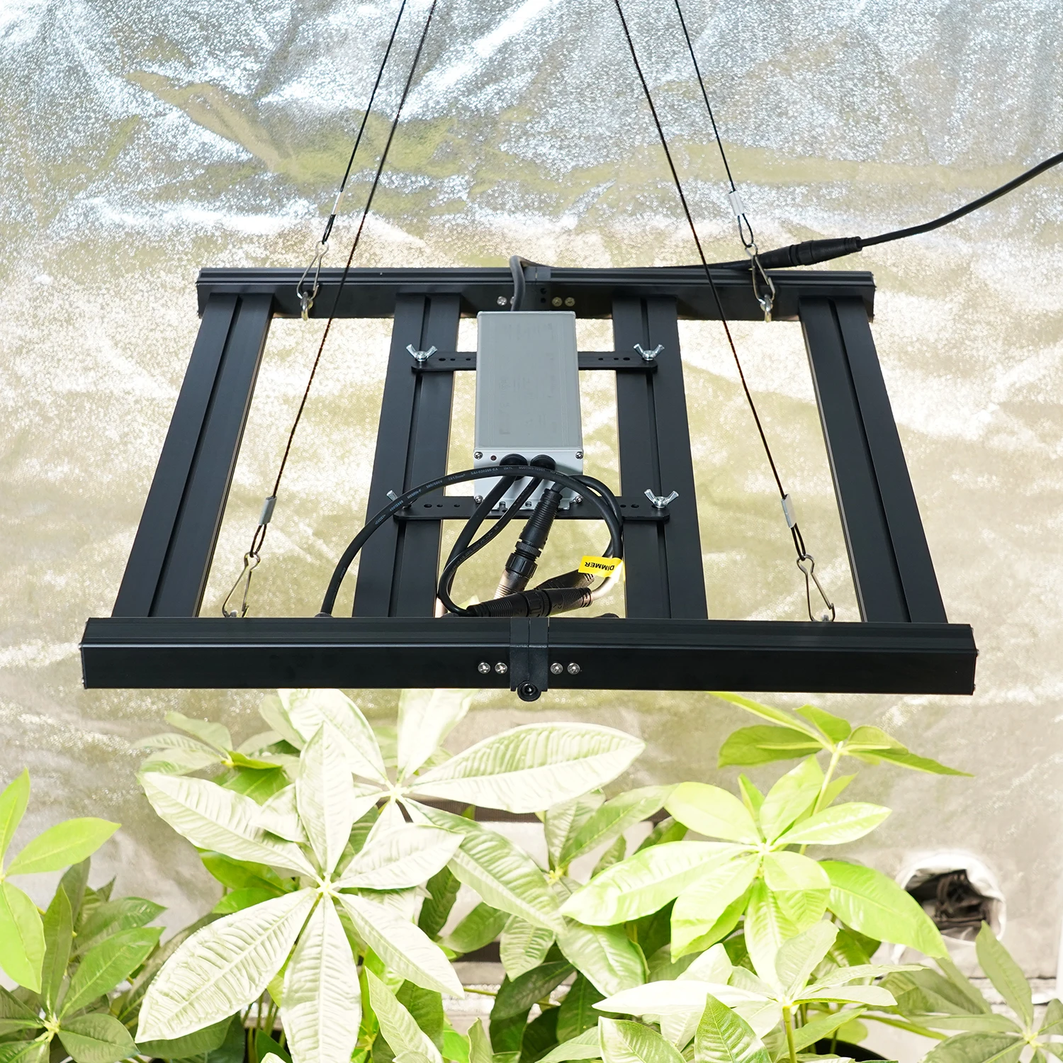 MEIJIU Bar Foldable Commercial Controller Spectrum Led Grow Light Indoor Led Grow 3000K 3500K Samsung Chips For Indoor Plants