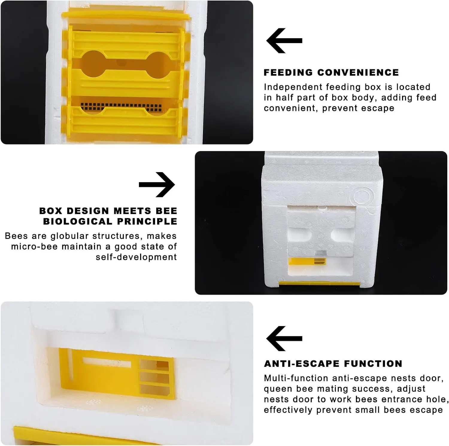 Beekeeping Tool Mini Beehive Foam Queen Rearing for Bee Mating Nuc Box Copulation