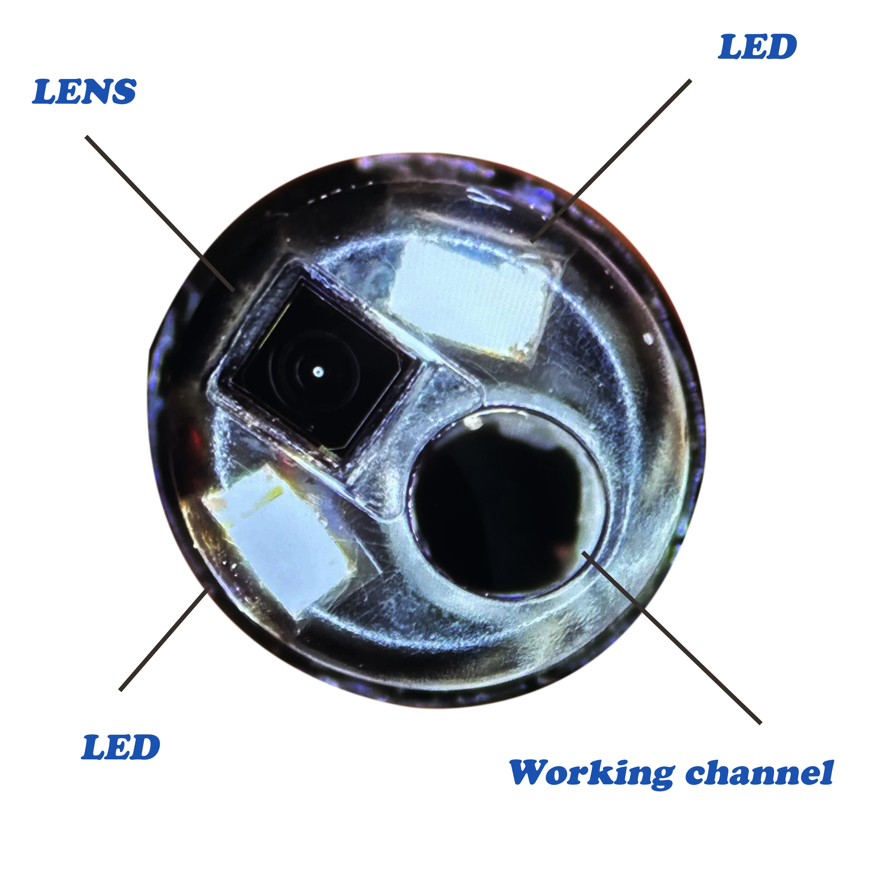 Omnivision camera module 2.7mm Disposable Ureteroscope   endoscope
