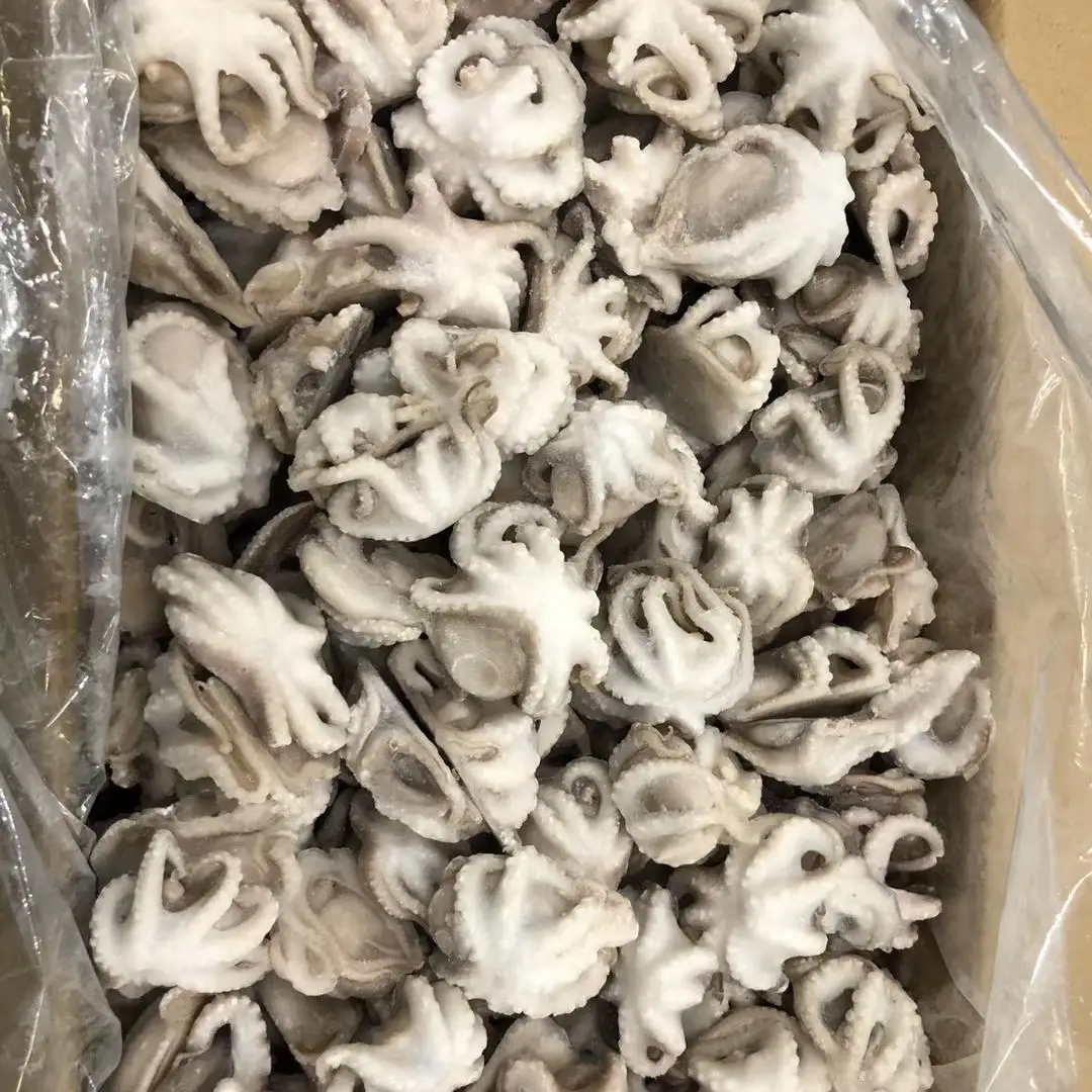 
Octopus Frozen Iqf Baby Octopus (Octopus Vulgaris) 