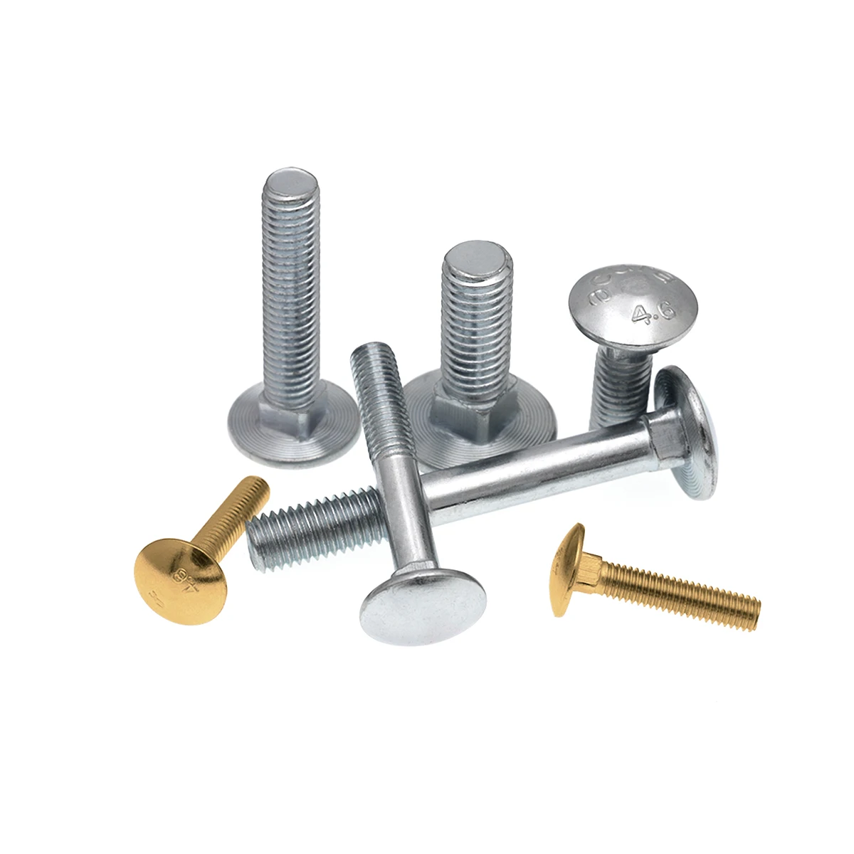 M5 M14 M4 M16 x 60 Large Flat Decorative Head 6mm Stainless Steel Din 603 Carriage Bolt