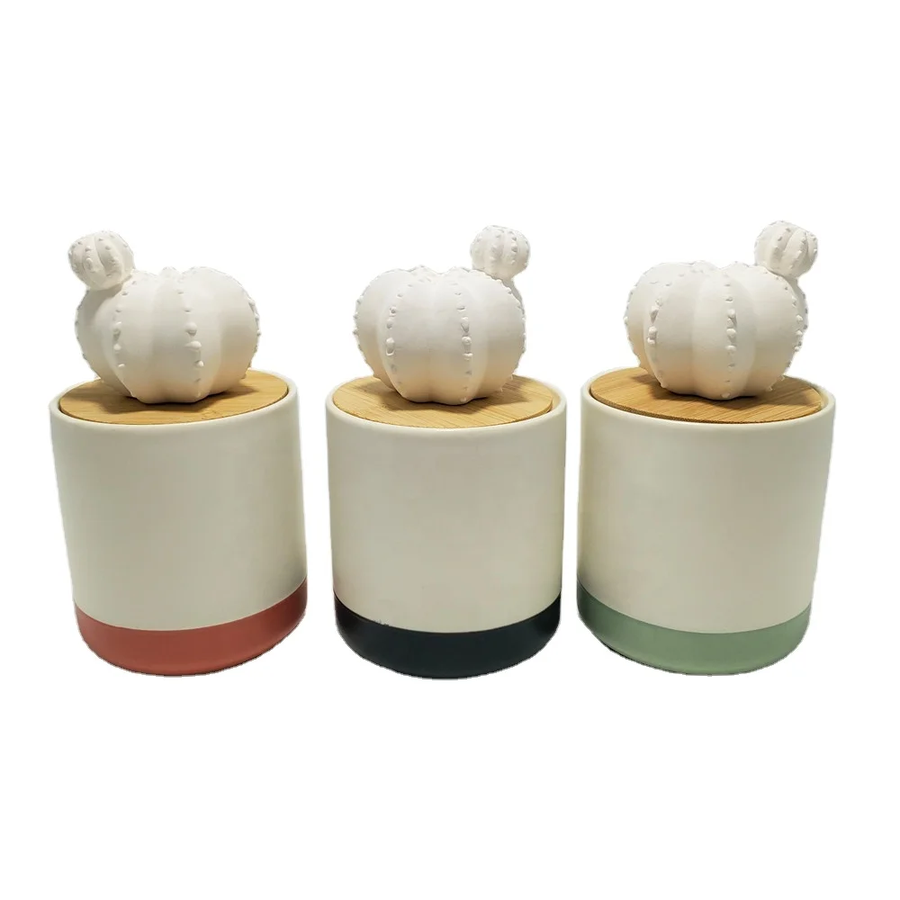 New ceramic succulent flower essential oil diffuser with ceramic bottle