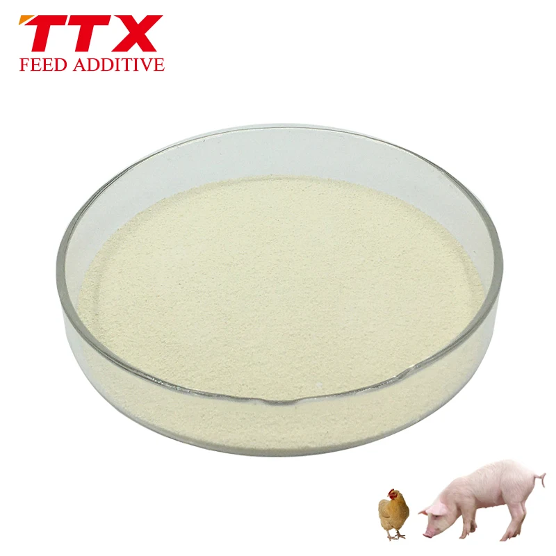 
Broiler premix phytase enzyme in poultry feed 