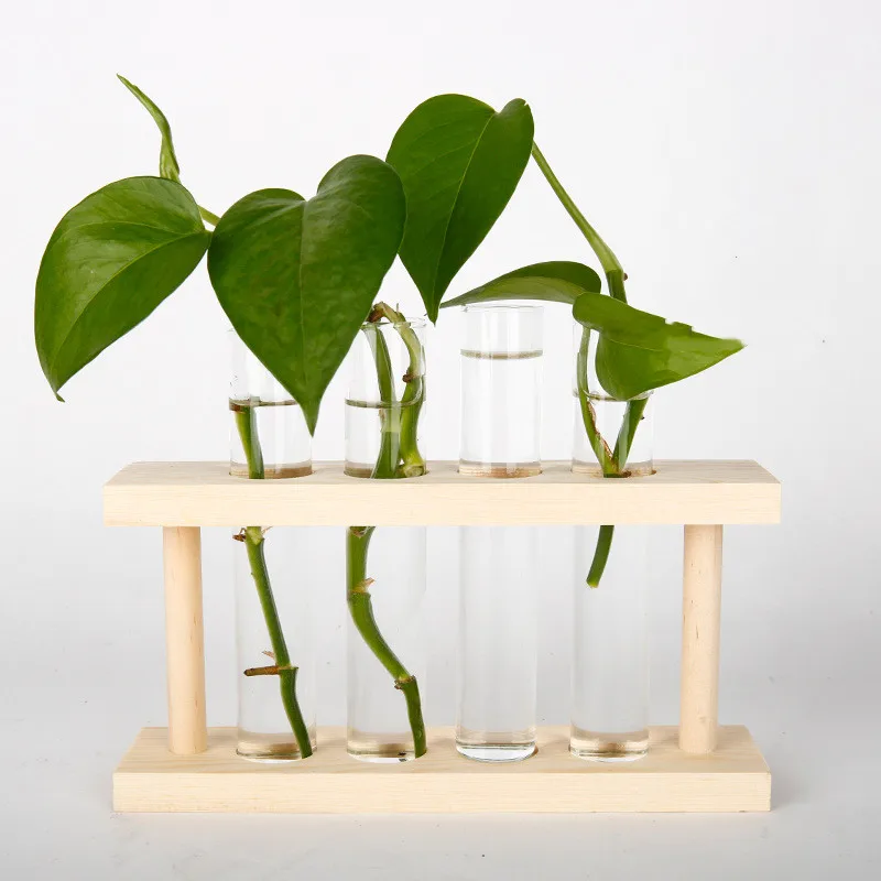 Home decor terrarium hydroponic plant small clear test tube glass vases with stand