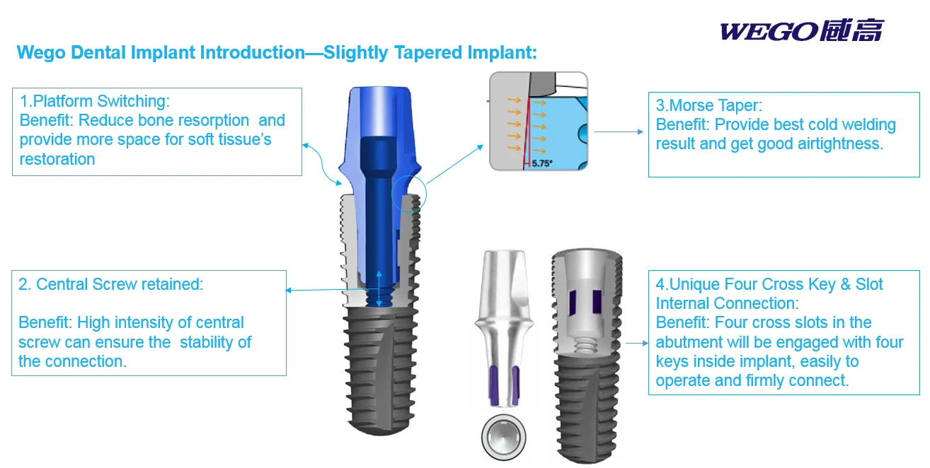 
Pure Titanium OEM Tooth Fixture Wego Dental Implant Chinese Factory Bone Level Tooth Root Morse Taper Micro-dual Thread Implant 