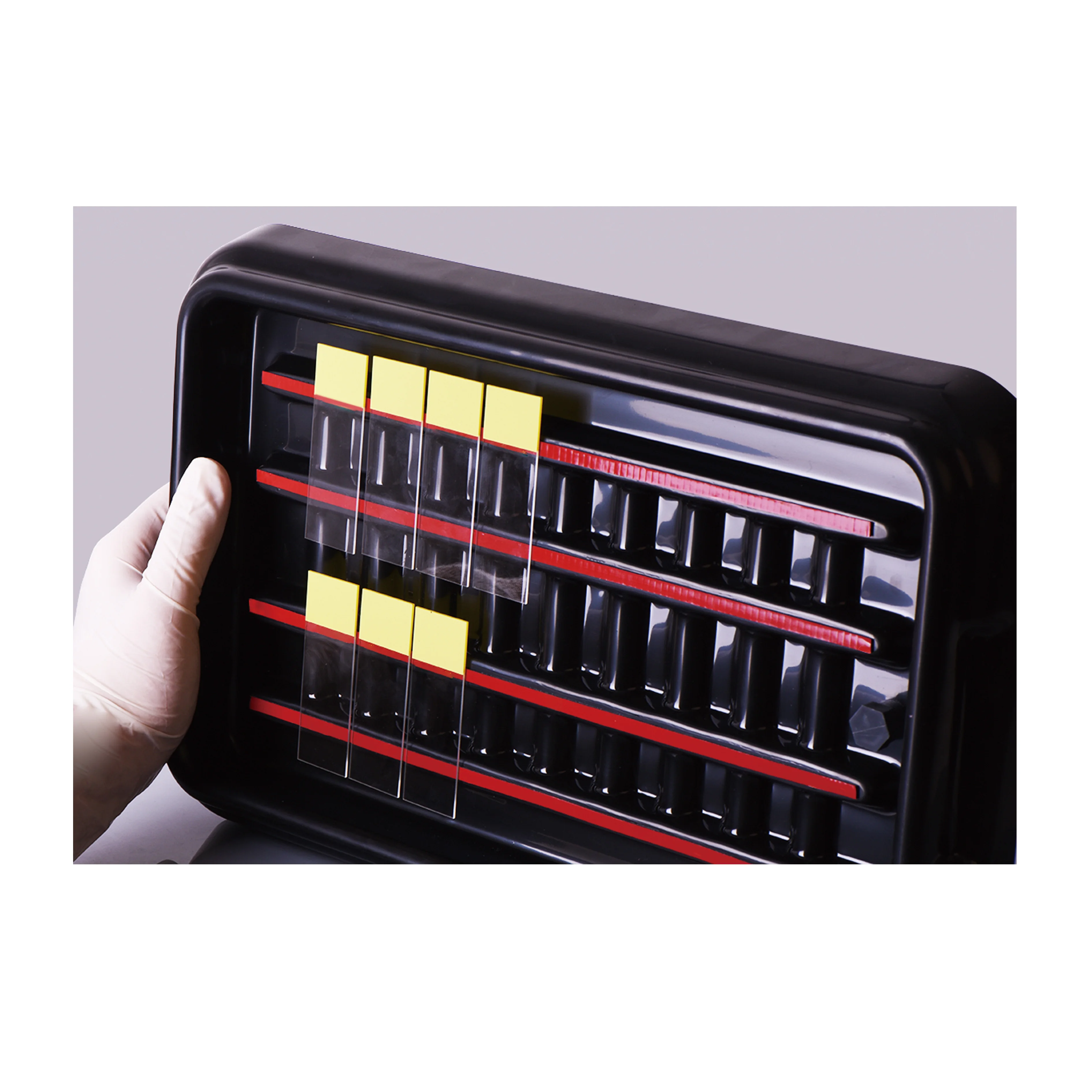 Factory Direct Supply Laboratory Filter Pipette Tips Of 10ul 20ul 100ul 200ul 1000ul