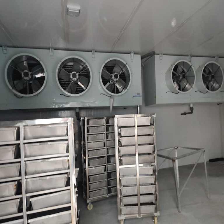 Walk in Freezer Refrigeration Heat Exchange Equipment Freezers Cold Room For Fish