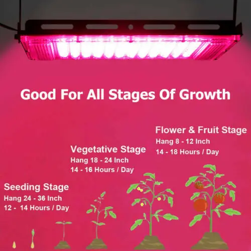 wholesale 220V 110V 50W 100W 200W LED Spotlight for plant growth greenhouse aquarium full spectrum indoor led plant grow light