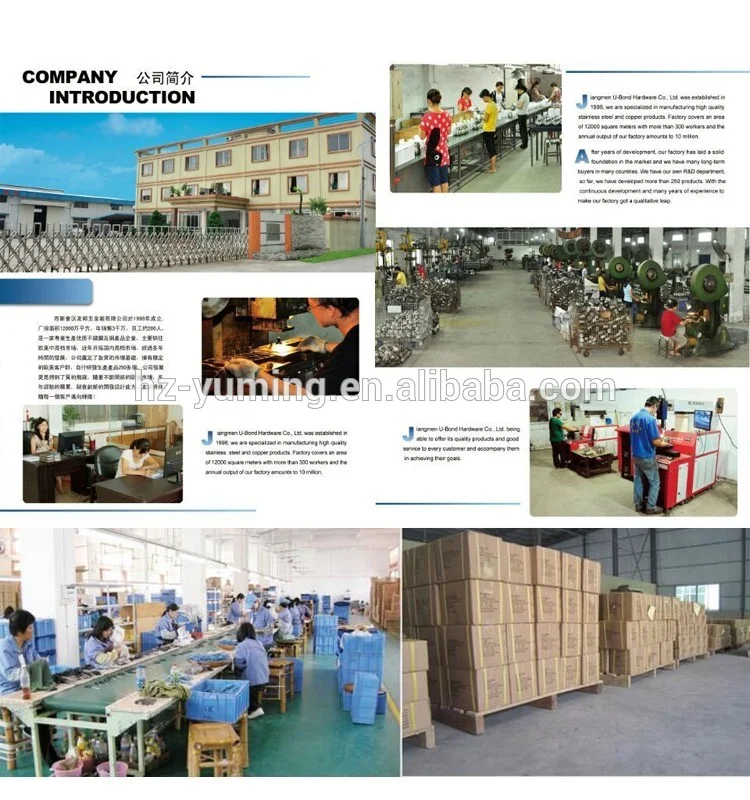 company information.png