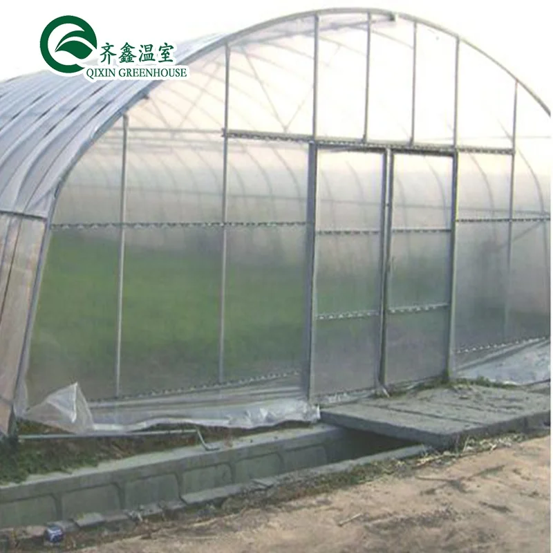 
Low cost agriculture tunnel plastic greenhouse polyhouse for vegetable 