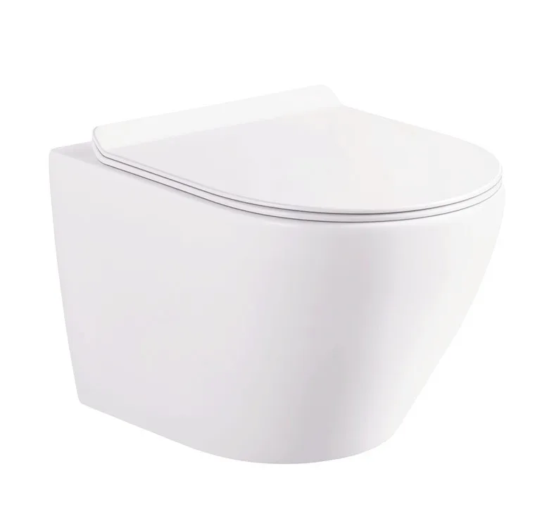 Concealed Cistern Toilet with In-Wall Tank and Carrier System 1.1/1.6 GPF Dual Flush in White Wall Hung Toilet