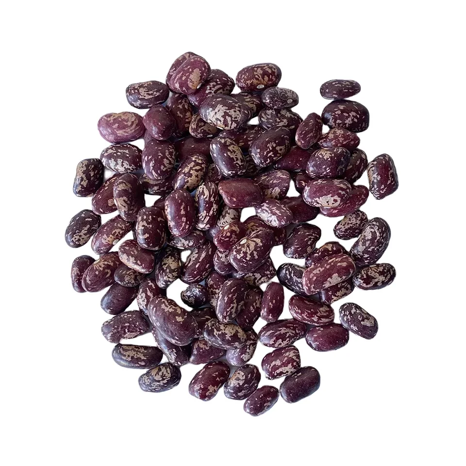 Kidney Beans 100% Speckled Kidney Beans