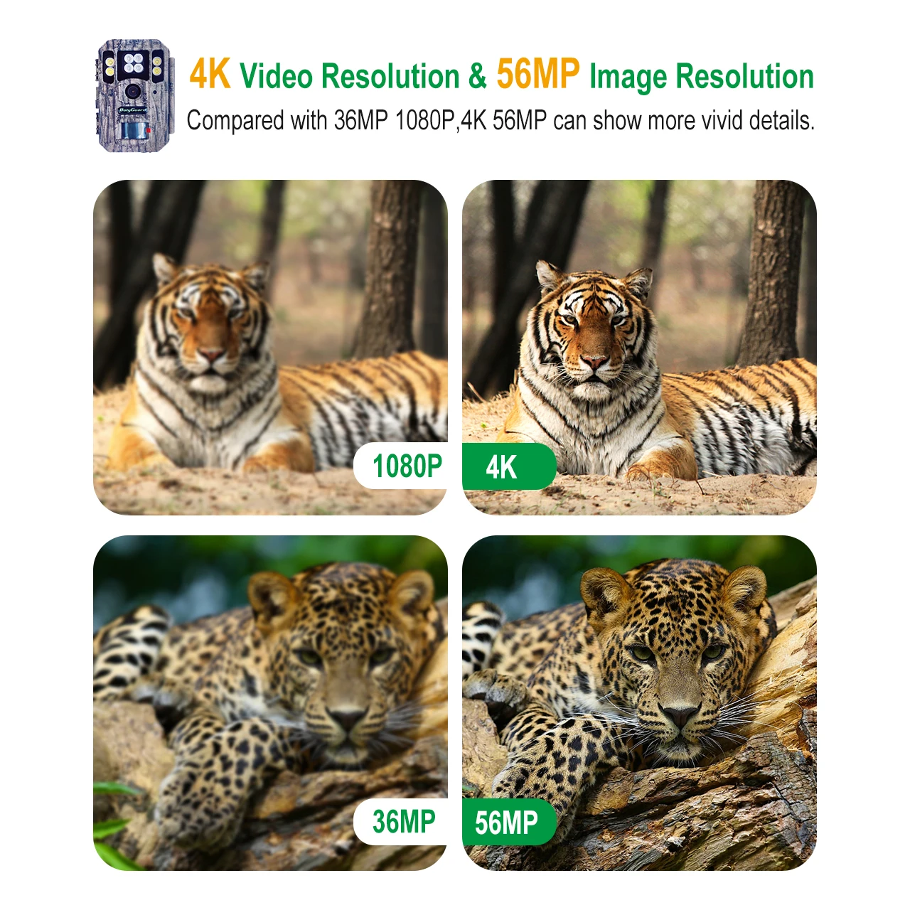 Boly BG662-D  4K trail camera